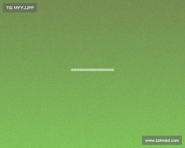 布雷斯特周边旅游攻略探索发现历史文化与自然景观的完美结合